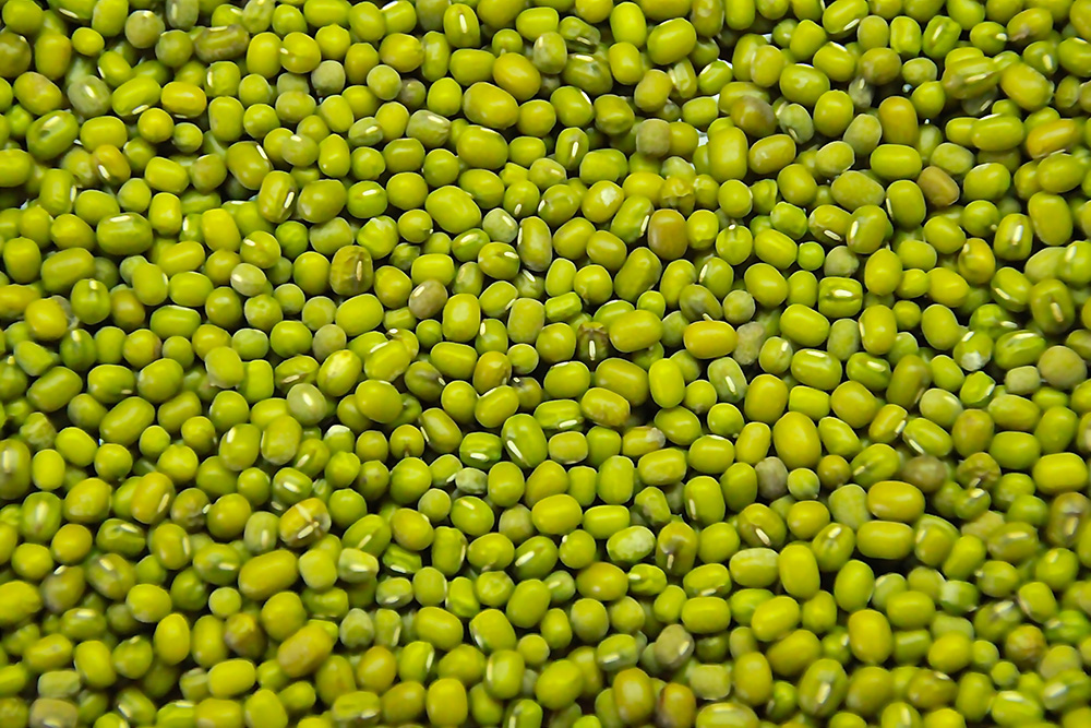 Green-Mung-Beans–Green-Gram