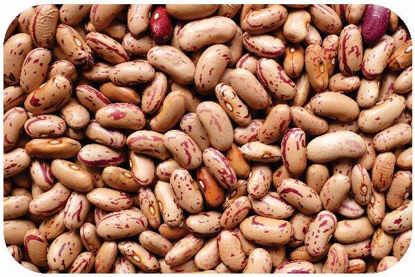 Kidney Beans Speckled