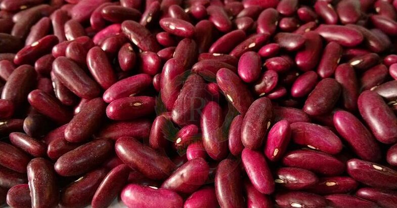 kidney-beans-dark-red-3