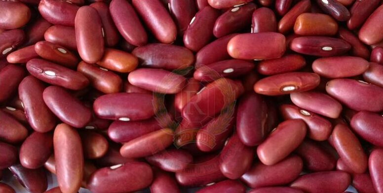 kidney-beans-light-red