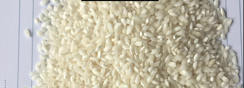 short-grain-rice-nga-sein